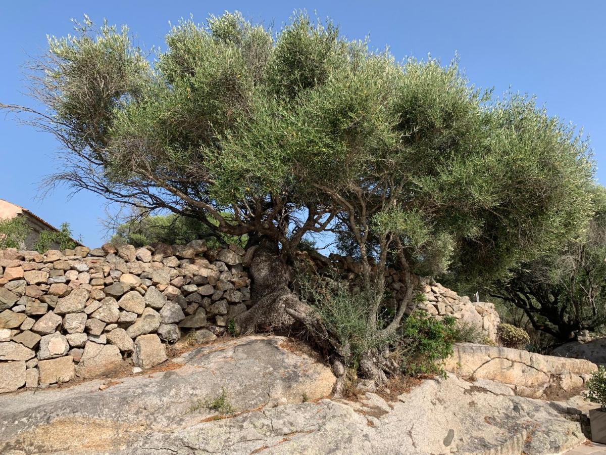 Stazzu Nuraghe Mannucciu Casa de hóspedes Rena Majore Exterior foto