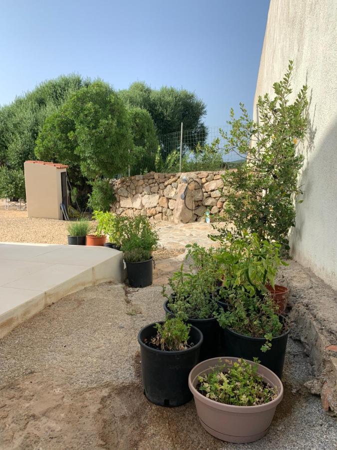 Stazzu Nuraghe Mannucciu Casa de hóspedes Rena Majore Exterior foto