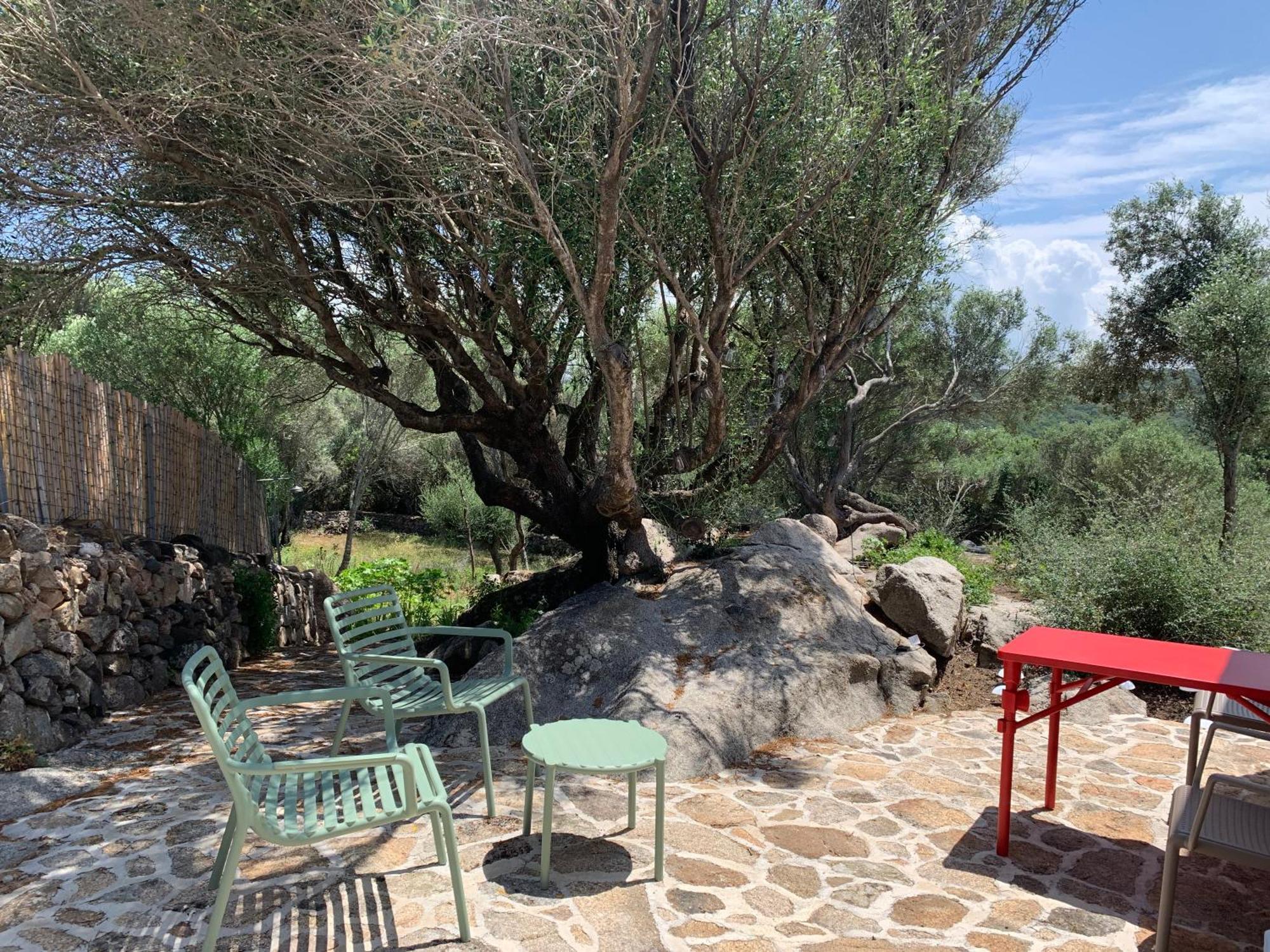 Stazzu Nuraghe Mannucciu Casa de hóspedes Rena Majore Exterior foto